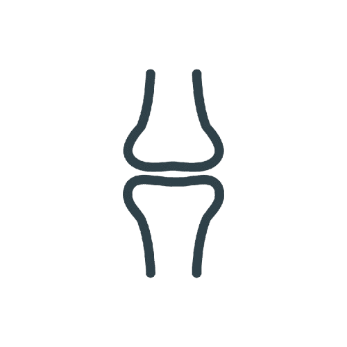 Bone and joint support icon